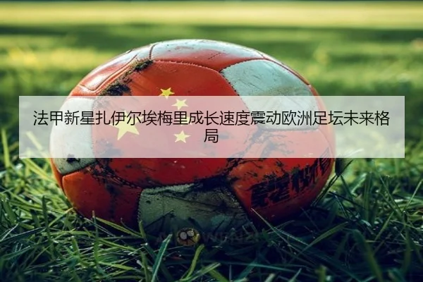 fa-jia-xin-xing-zha-yi-er-ai-mei-li-cheng-zhang-su-du-zhen-dong-ou-zhou-zu-tan-wei-lai-ge-ju-2-878.jpg